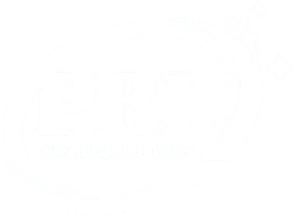 PBL CLEANING INDUSTRIES LLC